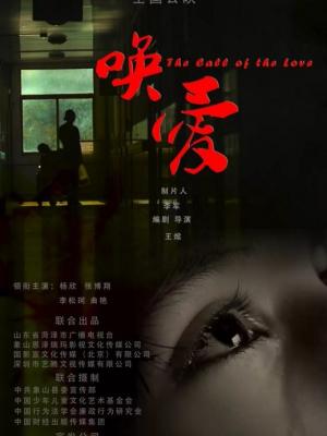 短剧《离婚前夜》在线观看海报